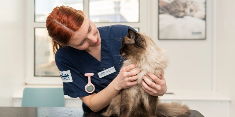 Fear Free Norrtälje Veterinärklinik Evidensia