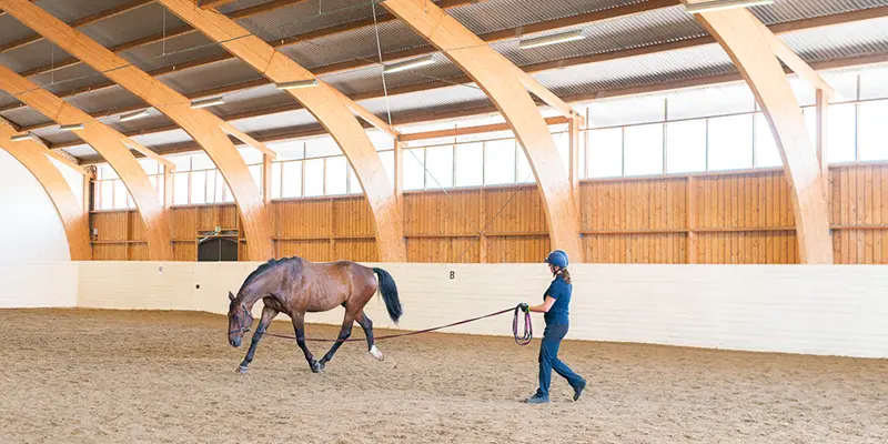 Veterinär häst Tungelsta