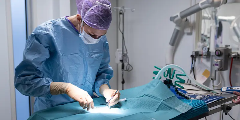 Kirurgi Täby Djursjukhus