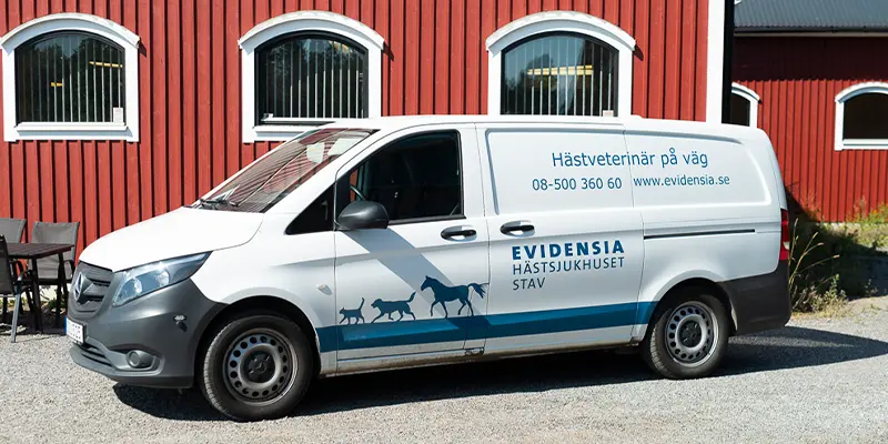 Ambulerande veterinär häst