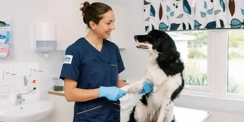 Polikliniken Billdals Djurklinik