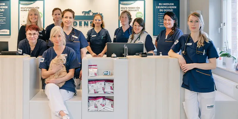 Veterinär Örebro