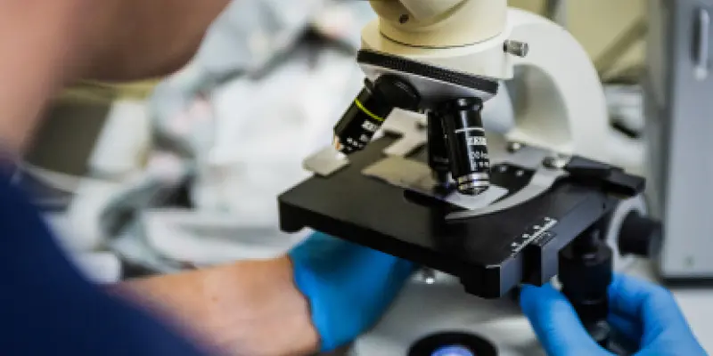 lab veterinär saltsjöbaden