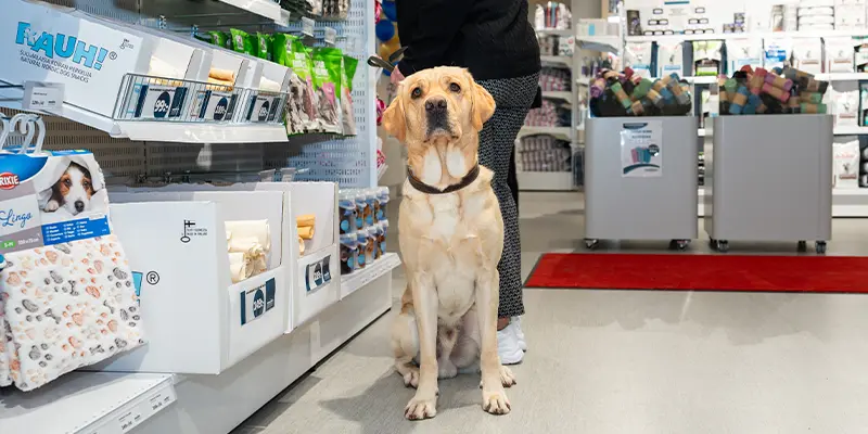 Djurbutik, foder, veterinärfoder, friskfoder, Uppsala Veterinärklinik