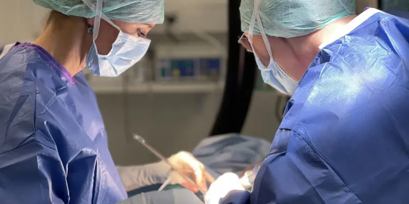 Kirurgi Göteborgs Djursjukhus