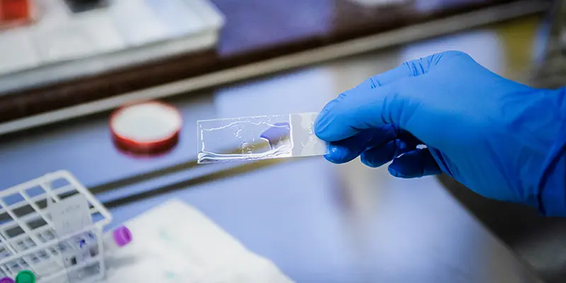 Laboratoriet på Kusthöjdens Djurklinik