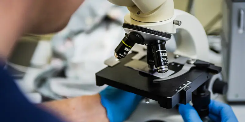 Lab Djurkliniken Kungälv