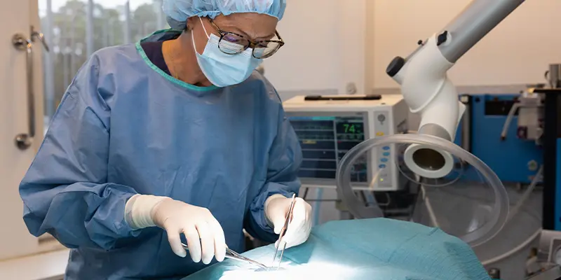 operationsavdelning veterinär saltsjöbaden