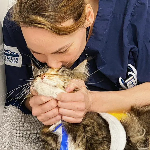 Veterinär Djursjukhus Göteborg