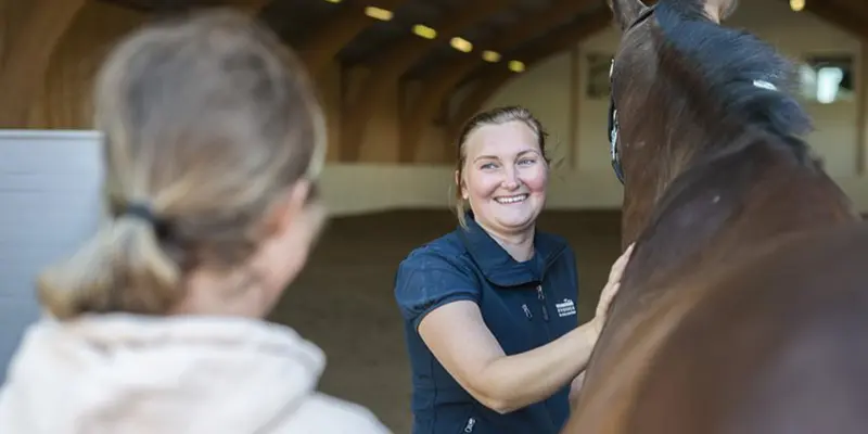 Veterinär häst Tungelsta