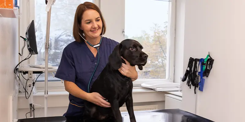 poliklinik veterinär saltsjöbaden