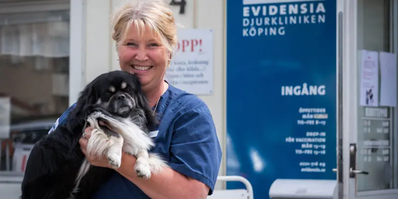 veterinär köping